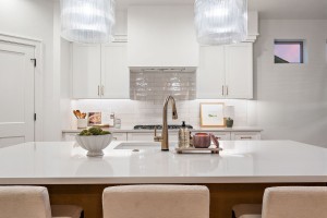 80-web-or-mls-Elm-Twilight-21